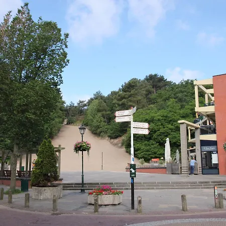 Modern Holiday In Near The Forest