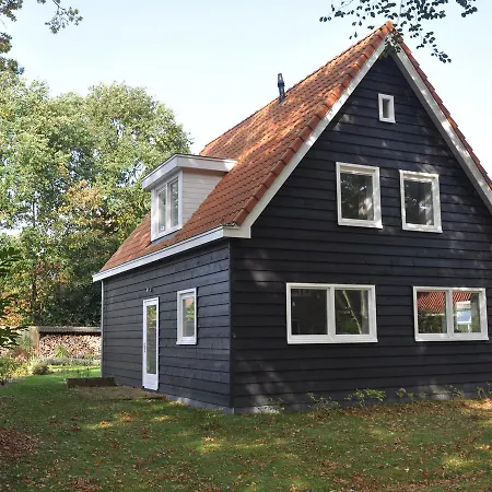 Modern Holiday In Near The Forest Schoorl