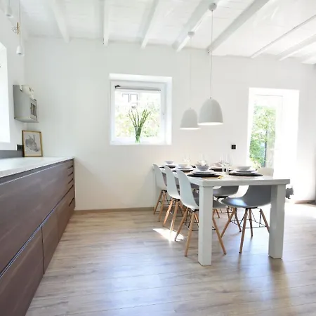 Modern Holiday In Near The Forest